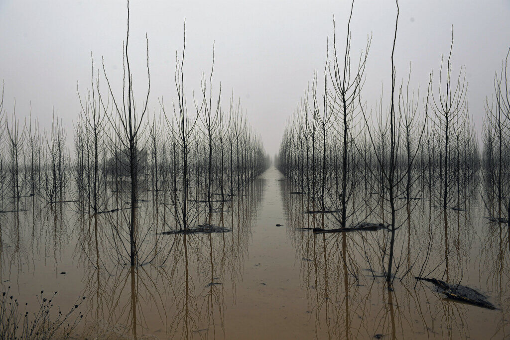 UN Climate Report